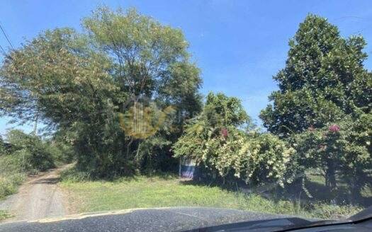 LTH5545 – Land FOR SALE in Ramintra size 419 Sq.W. Nearby BTS Wat Phra Sri Mahathat station ONLY 22.5 MB