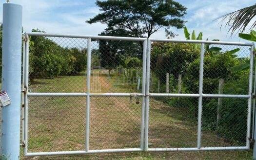 LTH9688 – Nakhon Nayok Land With House FOR SALE sizeOver 3 rai Price ONLY 6.2 MB (From 6.5)
