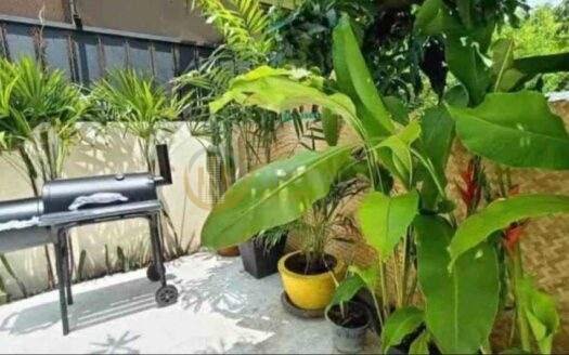 LTH15964 – Pet Friendly House for Rent Chidlom | 65K/Month | บ้านให้เช่า ชิดลม เลี้ยงสัตว์ได้